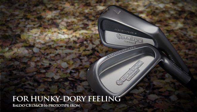 blog%e7%94%bb%e5%83%8f-iron