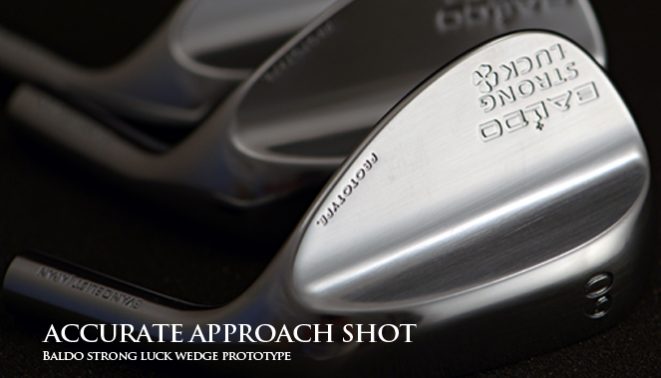 blog%e7%94%bb%e5%83%8fwedge2